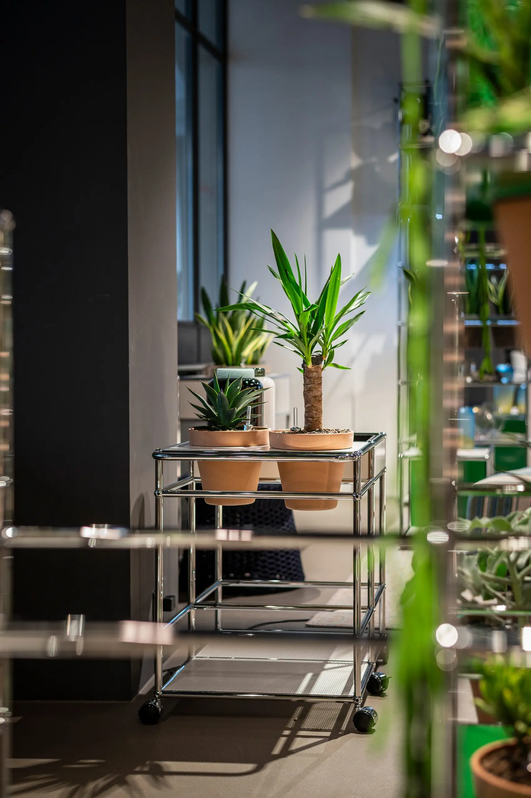 USM Haller im Wohnbereich – Beispiel 30